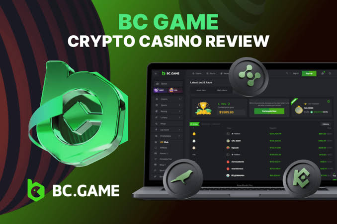 Everything You Need to Know About Playing on BC.Game -428129838